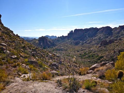 Looking south down Barks Canyon.