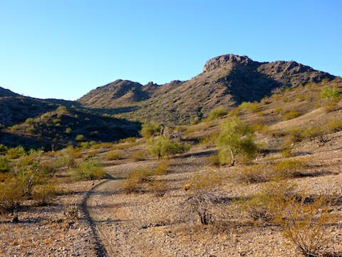 Looking south on Butterfield Trail, towards Knobb Hill.