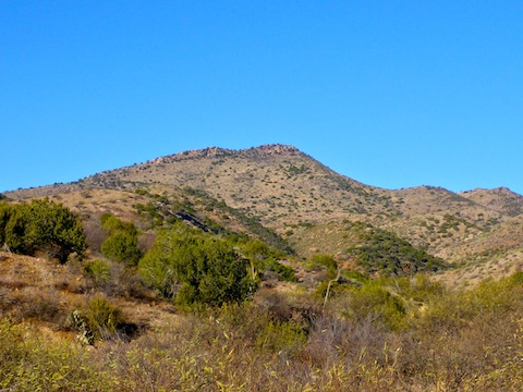 Looking up at Scott Mountain from Dripping Spring Rd.