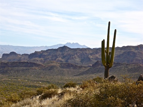 Looking across the Goldfield Mountains towards Four Peaks.