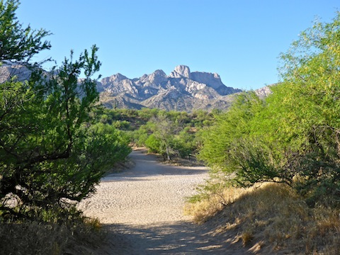 Looking across Sutherland Wash to Pusch Ridge.