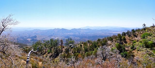 Looking east, from Trail #214, across AZ-77 and Pinal Pass, towards the San Carlos Apache Reservation.