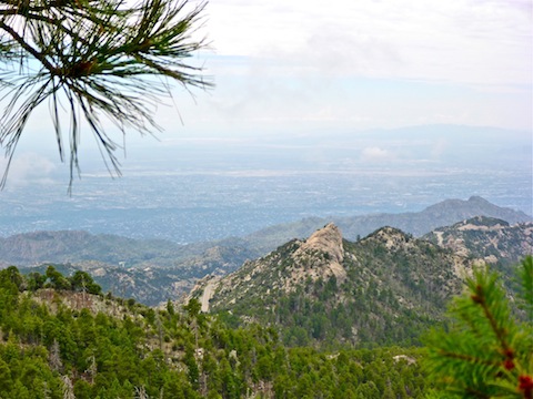 Looking across the Catalina Highway, towards Tucson, from the west summit of Green Mountain.