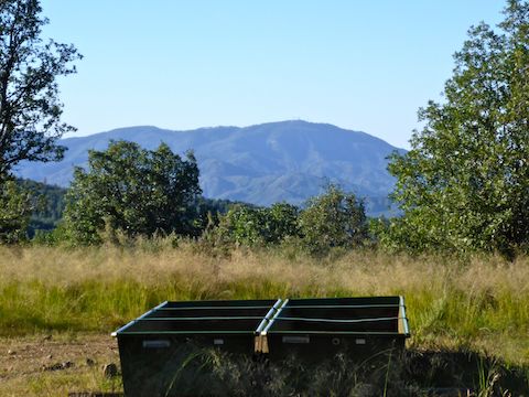 Looking across the spring box towards Towers Mountain, 12 miles south in the central Bradshaw Mountains.