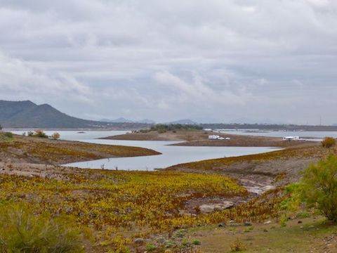 Looking southeast towards RV campers on Burro Island. The change in vegetation marks the high water line.