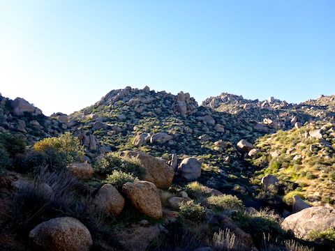 Nearing the top of Mesquite Canyon.