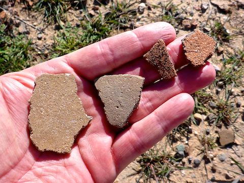 Indian pottery sherds I found in Garden Valley.