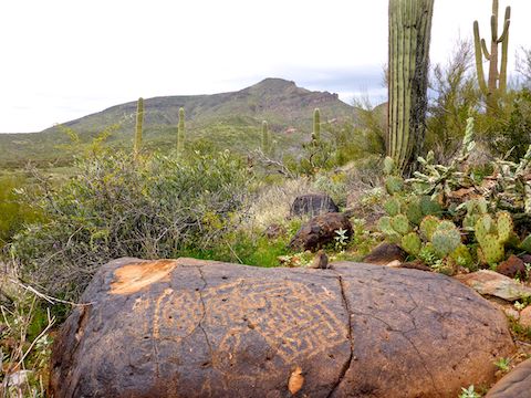 Dragonfly Trail petroglyphs, with Elephant Mountain in back. I'll have to climb that one of these days ...