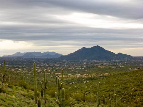 Looking east, towards the McDowell Mountains (left) and Black Mountain (right) from the slope of Elephant Mountain.