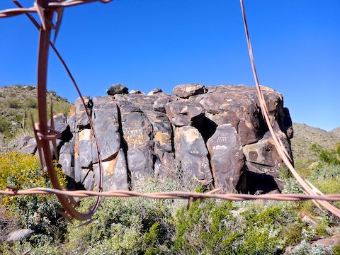Well known, and close to civilization, the Verrado Petroglyphs are protected by razor wire to deter vandalism.