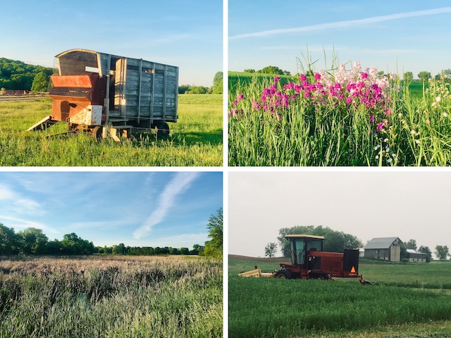 Rural Sheboygan County: I shot the tractor (lower right) on Wednesday. I turned back not long afterwards. The other three photos were shot on Tuesday.