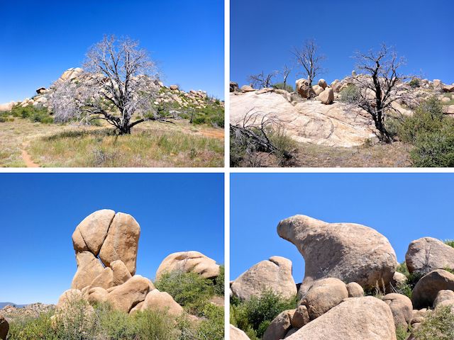 Burn damage & boulders. I always look forward to seeing the Balance Rock and Pooping Bear Rock.