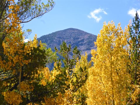 Fremont Peak framed by fall color.