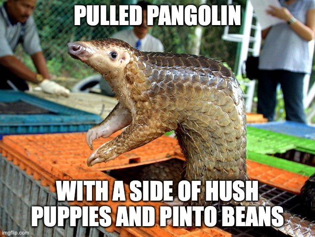 Pulled Pangolin: With a side of hush puppies and pinto beans.