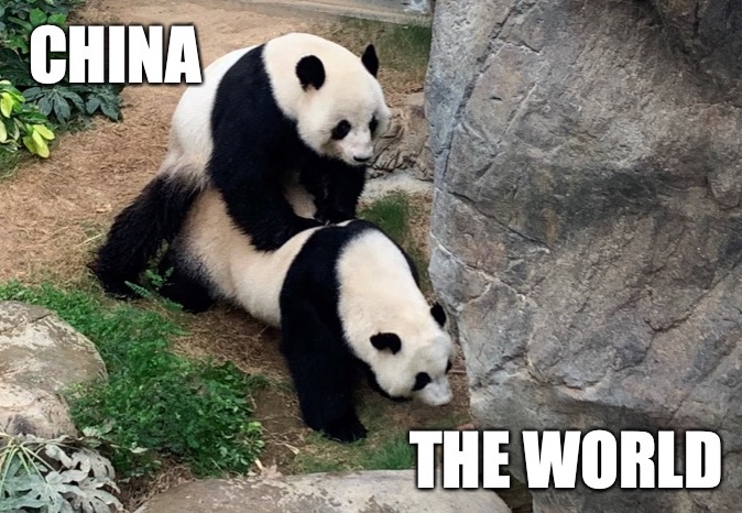 Hong Kong announced two pandas naturally mating ...