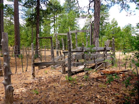 This corral is right next to FR 218, about a ¼ mile south of the memorials.
