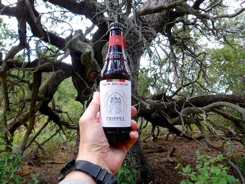 Enjoying a hiking beer in the shade of the massive alligator juniper.