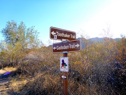 You have to put serious effort into getting lost in Estrella Mountain Regional Park.