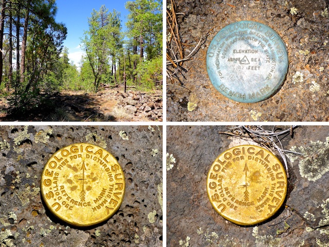 Upper left, the summit of Blue Ridge Mountain. Note the broken pole (height of light?) on the right. Barbwire was also present. The two unnumbered reference marks are 25 ft. E and 38 ft. NNE of the benchmark. 