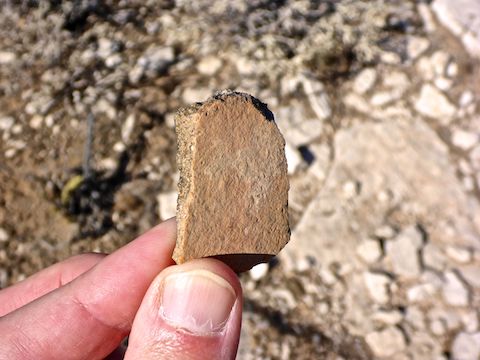 This pottery sherd was once someone's prized possession.