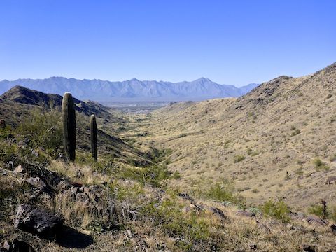 The Gila Trail saddle has a great view west, to the Sierra Estrella.