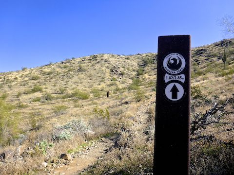 The other trails on this loop have signposts at the intersections, but Bursera Trail has plenty of intermediate signs. Most had a simple black-on-white sticker, not a purple “B”, elevation profile or QR code like I’ve seen elsewhere.