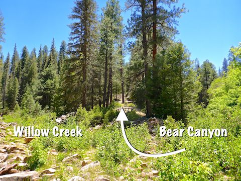 Looking south from the confluence of Willow Creek and Bear Canyon, at Mule Crossing. You will be hiking towards the camera. Make a sharp right and head up the the spur. Download the GPS file, below, for insurance.
