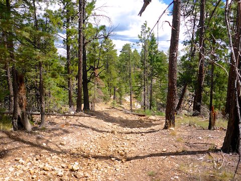 The final ½ mile of FR 237 gets quite rocky.