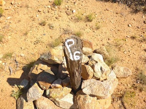 The only marker I found, P16, was on a small rise east of FR 9604K.