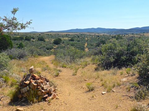 The General Crook Trail #64 is often marked by cairns and gabions (a cairn in a wire cage). The trail is usually visible in the distance, as it rolls over small rises and crosses minor washes.