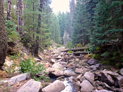 The final mile of West Leonard Canyon, above Middle Leonard Canyon.