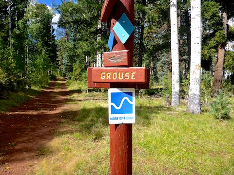 Intersections of named trails are marked by signs, with name, direction and difficulty (for cross-counry skiers).