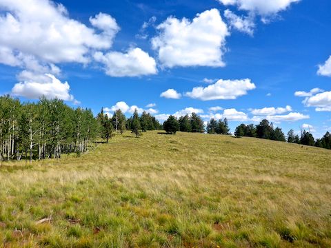 The opposite view of the banner photo, looking up from the false to true summit. (Aspen grove on the left.) Beautiful clouds!