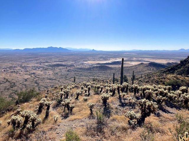 Looking southeast across the Santa Cruz Flats, along the I-10 corridor, towards -- left-to-right -- the Picacho Mountains, Tortolita Mountains and Picacho Peak. (The Catalina Mountains are even visible 60 miles away, behind the Tortolitas!)