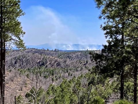 Looking south across the Rodeo-Chediski Fire burn area in Bull Flat Canyon, towards what I hope is a controlled burn.