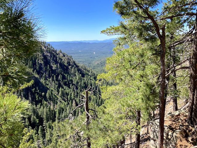 Looking down See Canyon. I should hike Trail #184 up to the Mogollon Rim sometime ...