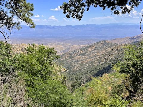 Looking down Alder Canyon. The Pinaleno Mountains are visible, distant right, beyond the Galiuro Mountains.