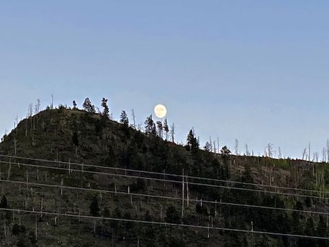 As we were eating, I saw the Wallow Fire burn scar give birth to a waxing gibbous moon. Pretty cool!