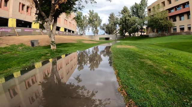 I had more success negotiating this puddle than I did the canal between Tres Rios and Bajada Trailhead.