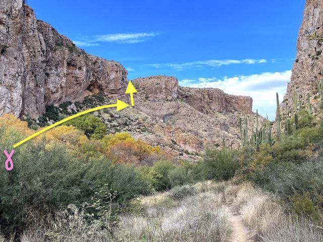 I'd done research, so I knew where the route up began. (On the ground it was marked by a pink ribbon and pink splotch of paint.) There are no yellow markers, but once on it, the trail up Picketpost Mesa is obvious.
