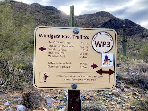 There are signs at every McDowell Sonoran Preserve trail junction, and some points inbetween. (Note the Maricopa Trail sticker.) You have to try to get lost!