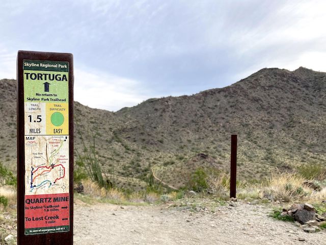 Every trail junction, plus every quarter mile, is marked with one of these signs. Tortuga Trail drops into the valley. Javelina Summit Trail climbs to the far saddle, then right along the ridge to Javelina Summit.
