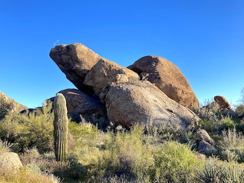Bootlegger Trail has the best boulders.