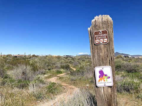 After crossing the powerline, follow the Maricopa Trail signs north on singletrack, which parallels the mansions of Carefree.