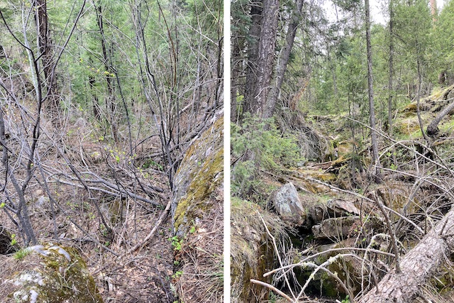 Why I call these hikes "canyon crawls": Starting down into Miller Canyon (left), and halfway down, looking back up.