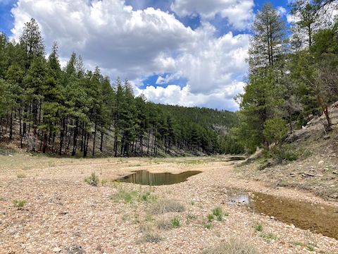 Miller Canyon emptying into East Clear Creek.