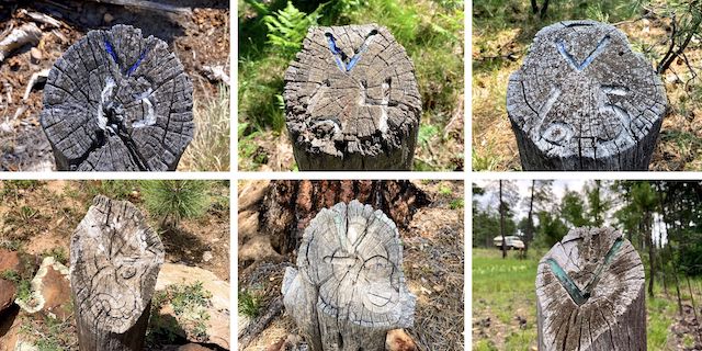 General Crook Trail mile markers ... Top Row: V63, V64 and V65 ... Bottom Row: V69, V70 and V71.