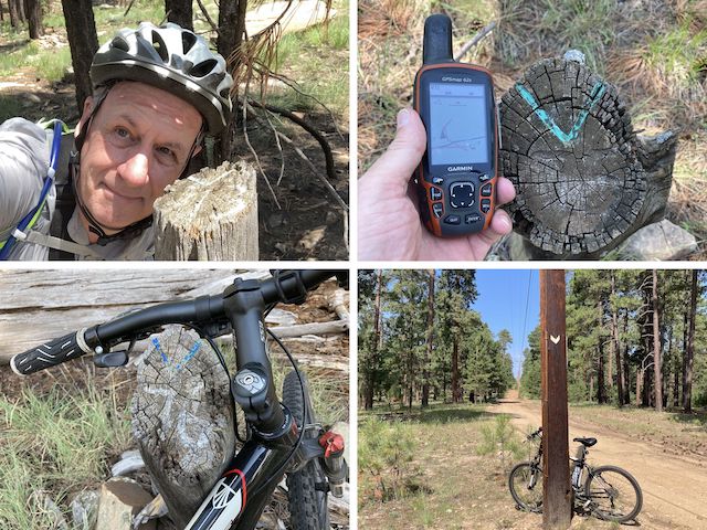 General Crook Trail "mile" markers V73 and V75 (top); V76 and chevron on Old Rim Road (bottom).