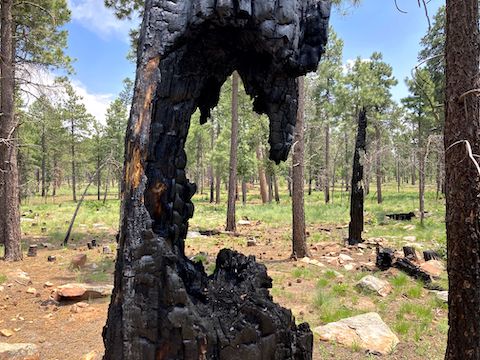 Lightning strike damage framing typically mellow terrain.