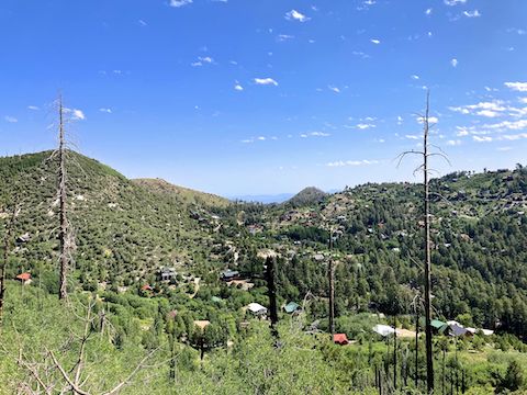 Summerhaven and Carter Canyon, as viewed from Mint Spring Trail #20.